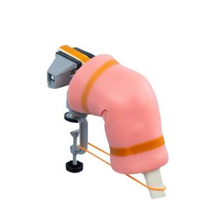 Modelo de Entrenamiento para Artroscopia de Rodilla KyrenMed con Abrazadera de Banco para Modelos Secos, Simulador de Entrenamiento para Cirugía de Artroscopia de Articulación de Rodilla - Product Image 2