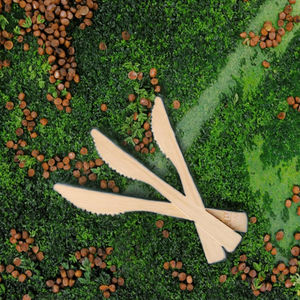 Eco-Friendly 100-<b>Pack</b> 170mm Portable Bamboo Cutlery Degradable Natural Biodegradable Wooden Knife Spoon Tableware Modern Travel - Product Image 3