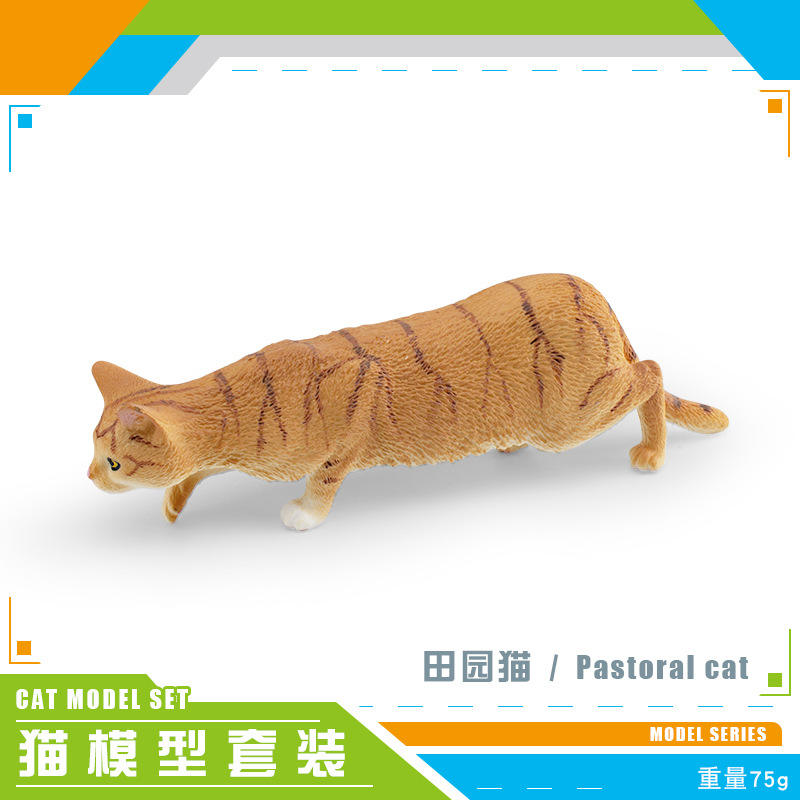 สวนแมว PL127-3137 75กรัม