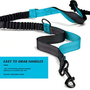 Correa de entrenamiento para caminar al aire libre para perros, correa de plomo para trotar - Product Image 2