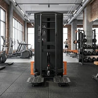 Machine de kickback réglable en acier avec câble pour l'entraînement des fessiers et des hanches en position debout, avec poulie et pile de poids pour les jambes