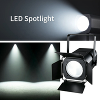 Projecteurs COB 200W Super Lumineux pour Événements : Idéal Jardin, Fêtes, Bord de Piscine, Mariages, Théâtre