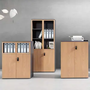 New Metal Cabinet Stainless Steel Cabinet Glass Modern Filing Office Cabinet