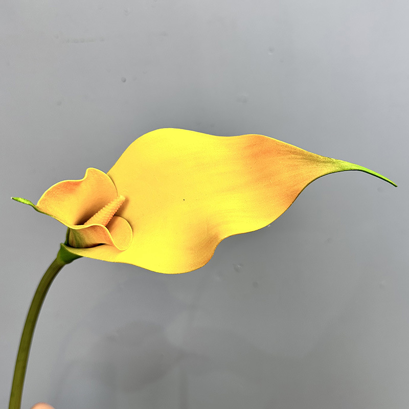 double calla yellow