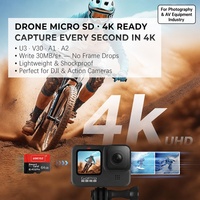 Kartu Memori Mikro OEM ODM Grosir untuk Sistem Navigasi GPS Mobil 32GB 64GB 128GB 256GB Kecepatan Tinggi