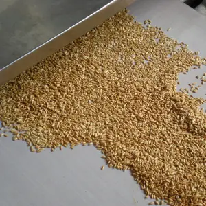 Microwave Antiseptic Drying Machine Chia Seeds Microwave Dryer Chia Seed Powder Flax Seed Quinoa Drying Sterilization Machine