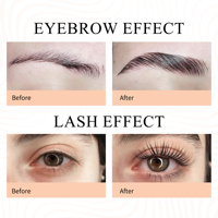 Kit de stratification de sourcils OEM facile à utiliser pour des sourcils parfaitement façonnés
