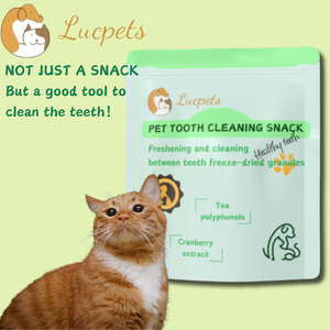 Organik sağlıklı somon gevrek bisküvi kediler ve köpekler mide bakımı için toptan güvenli tedavi - Product Image 5