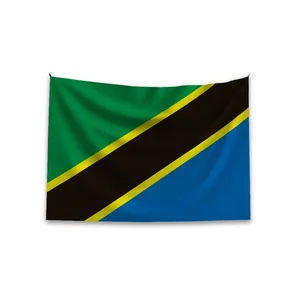 プロモーション製品ホットセールカスタムタンザニア国旗100% ポリエステル屋外装飾用カスタムタンザニア旗