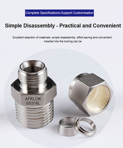 Connecteur à filetage mâle SS316L 6mm à 1 pouce-Norme <span class=keywords><strong>ISO</strong></span>/BSPP/NPT - Product Image 4