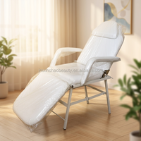 Table de massage pliable en métal robuste, portable, professionnelle, pour salon, spa, thérapie mobile, salle de sport, salon de beauté, chambre à coucher, salle de bain