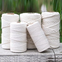 Corde de Coton Macramé Torsadée Colorée Naturelle Recyclée, Fil de Coton Mercisé pour Macramé