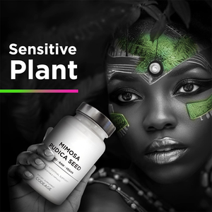 OEM/ODM Private Label Bulk Mimosa Pudica Zaadcapsules met immuunondersteuning en energie voor volwassenen - Product Image 2