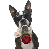 Nouveau style – Jouet à mâcher en peluche indestructible pour animaux de compagnie – Cigarettes fantaisie pour chiens – Cigares sonores – Cadeau amusant pour chien – Jouet en peluche