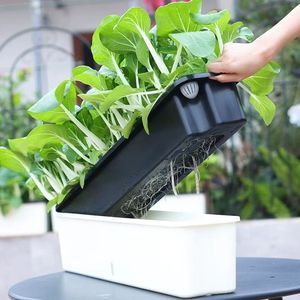 Pots et jardinières à arrosage automatique à 2 niveaux, oblongs, décoration d'intérieur, pots à plantes en résine, verts, écologiques, modernes, balcon, jardin - Product Image 4