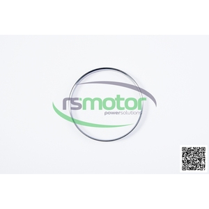 OEM Original pour Coke Scraper Ring MWM Pilote de moteur RS-12343418 - Product Image 4