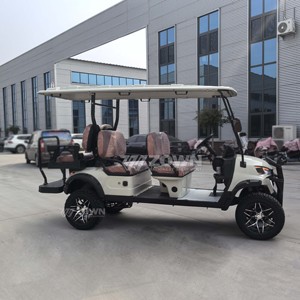 Carrito de Golf Eléctrico de Litio de Alto Rendimiento, Buggy de Golf de 4 Plazas con Parabrisas para Club de Campo - Product Image 6