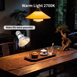 6 packs d'ampoules halogènes <span class=keywords><strong>PAR20</strong></span> E26 <span class=keywords><strong>50W</strong></span> à intensité variable pour l'éclairage d'ambiance des tables de restaurant, des magasins et de la maison - Product Image 5