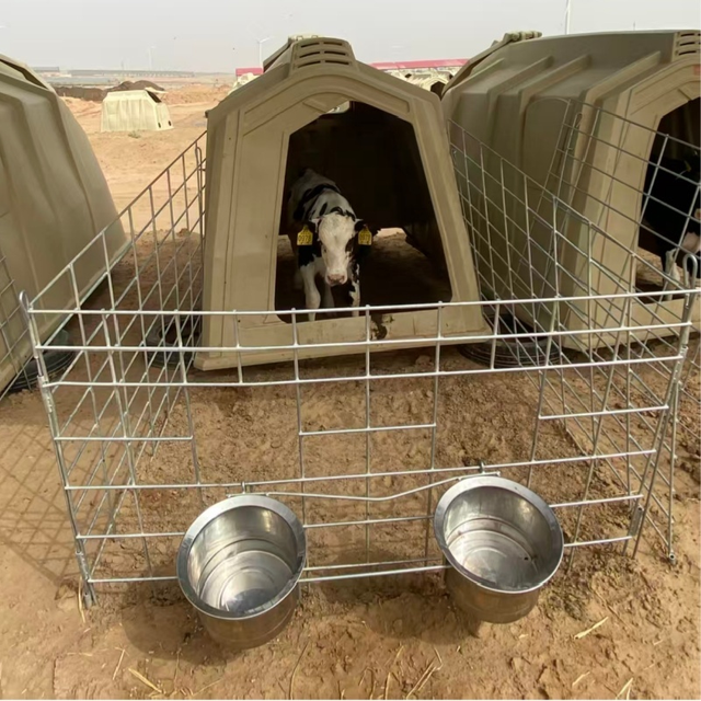 Portable Calf Island House for Group Rearing with Adjustable Flooring and Roof Panel for Easy Access and Cleaning