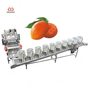 Industrial Electric Ozone Mango Cleaning Machine Automatic Fruit And Vegetable Washer