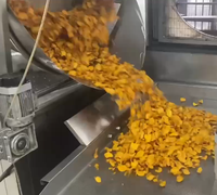 Friteuse à gaz automatique multifonctionnelle avec échangeur de chaleur et filtre en acier inoxydable 304, capacité de 500 kg/h pour une production de friture efficace
