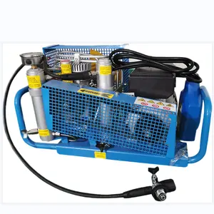 100L/Min 4500psi High Pressure Air Compressor for Scuba Driving Breathing Air Compressor