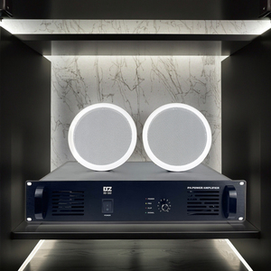 Prêt à expédier <span class=keywords><strong>1</strong></span> canal 1000W amplificateur de puissance pour système de sonorisation coque métallique OEM/ODM - Product Image 2