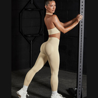 Ensemble de Yoga sans couture pour femmes soutien-gorge de sport dos nu débardeur de levage des fesses entraînement Fitness Gym course entraînement vêtements de sport costume
