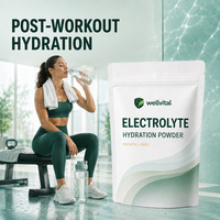 Poudre d'hydratation électrolytique à haute teneur en sodium sans édulcorants artificiels pour la récupération post-entraînement, marque privée
