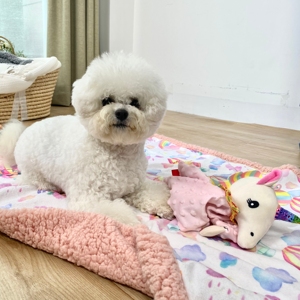 ผ้าห่มสุนัขแบบกำหนดเองได้ ดีไซน์น่ารัก นุ่มสบาย หนา อุ่น ผ้าฟลีซเชอร์ปา สำหรับเตียง - Product Image 2
