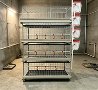 Cage à poulets à 3 niveaux et 2 portes en acier haute résistance, pour 60 oiseaux, avec structure robuste