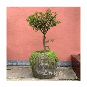 Ornements de jardin vintage pour patio et cour, pots de fleurs et <span class=keywords><strong>plantes</strong></span> en pierre de béton coulée, jardinières de grande taille pour l'extérieur - Product Image 2