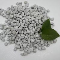 Mélange d'amendement de sol en perlite expansée 1-3mm, 3-6mm, 5-10mm pour l'amélioration du drainage des substrats de tourbe et de coco