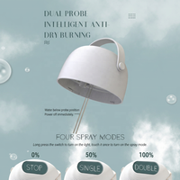 Humidificateur d'air portable USB à brume froide pour bébé, aromathérapie, mini, décoratif, pour chambre à coucher, maison, bureau, bouteille d'eau