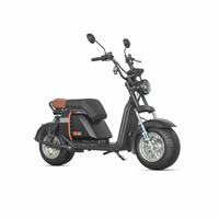 Meilleures ventes Citycoco Brasil 1000W 10 pouces Pneus larges Suspension intégrale Sans permis Fournisseur Ecoviva