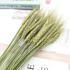 <span class=keywords><strong>Bouquet</strong></span> d'herbe <span class=keywords><strong>de</strong></span> <span class=keywords><strong>blé</strong></span> sec Arrangement d'automne <span class=keywords><strong>de</strong></span> <span class=keywords><strong>blé</strong></span> tiges naturelles <span class=keywords><strong>épi</strong></span> <span class=keywords><strong>de</strong></span> grain fleurs pour la maison <span class=keywords><strong>mariage</strong></span> - Product Image 5