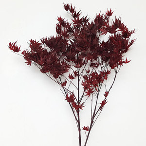 Hojas de Arce Decorativas para el Hogar, Color Rojo, Plantas Naturales con Hojas de Arce Inmortales para una Preservación Prolongada - Product Image 2