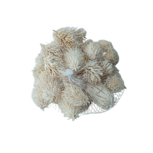 Juego de Bolas de Pelusa de Plantas Naturales Personalizadas Profesionales, Decoración de Pared para Festivales, Juego de Bolas de Pelusa Colgantes - Product Image 4