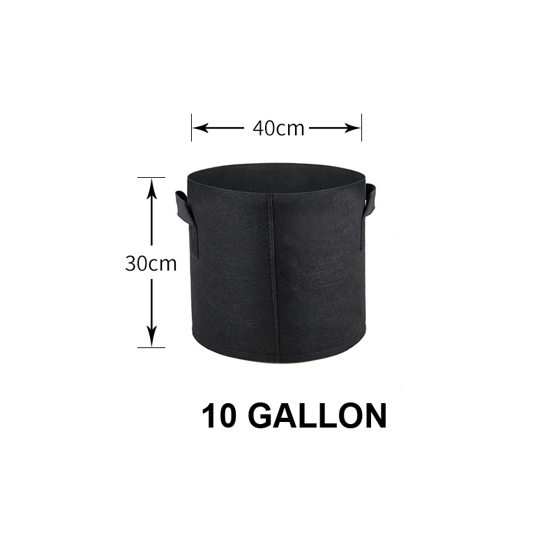 Noir-10 GAL