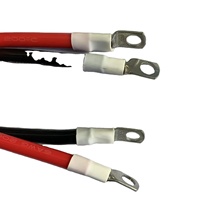 New Energy Car Marine Flexible Silicone Batterie Fil Câble 25mm2 35mm2 50mm2 25mm 50mm 2 4 Awg Ground Negative Earth Assembly