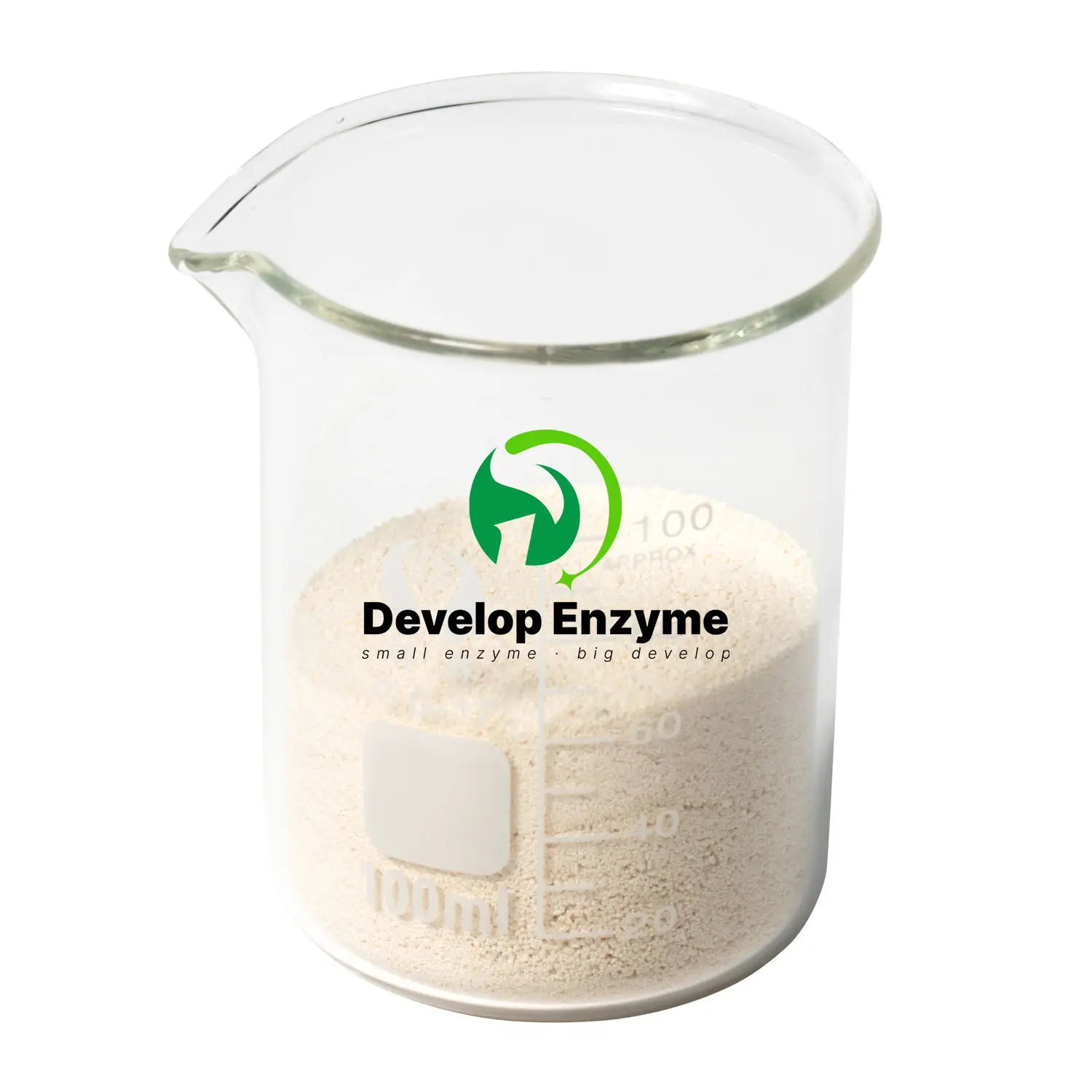 Pure Natural Wheat Enzyme Powder High Effective