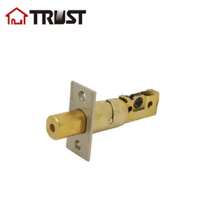 信任4301CDL67SS 2级闩锁可调60/70毫米智能杠杆锁