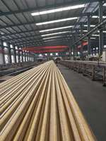 Tresse de fil d'acier Mangueiras Hidraulicas/tuyau en caoutchouc hydraulique tuyau Manuli