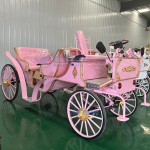 Carroza de Caballos de Alta Calidad para Turismo 2026, Carruaje de Caballos Iluminado para Navidad, Atracción de Parque de Diversiones, Vagón de Caballos - Product Image 3