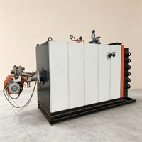 Generator Uap Tabung Air yang Didukung Biomassa Pelet dan Kayu dengan Konstruksi Baja Karbon dan Pengoperasian yang Mudah