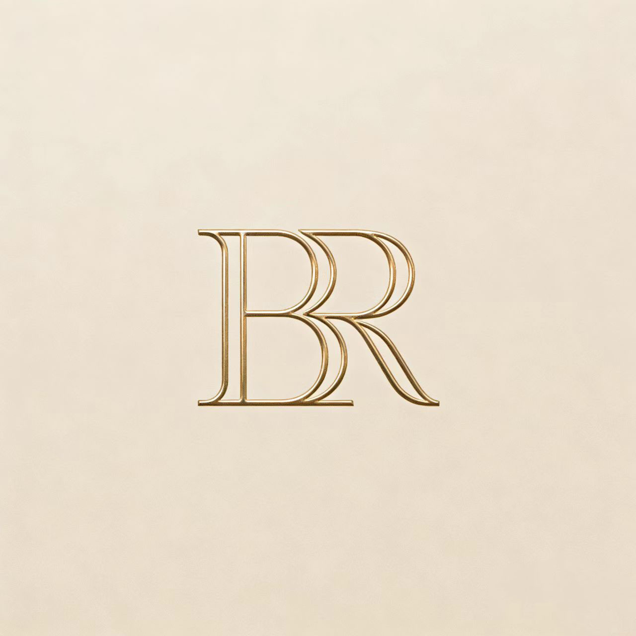 Dongguan Binrong Apparel Co., Ltd. logo