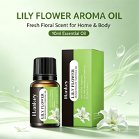 Huile Essentielle Végétale Naturelle Multi-Usages OEM, Parfum Lavande Gingembre Arbre à Thé Menthe Romarin Rose, Huile d'Aromathérapie Pure