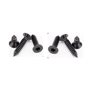 Viti Autofilettanti a <span class=keywords><strong>Testa</strong></span> <span class=keywords><strong>Svasata</strong></span> Torx in Acciaio Inox 304 Zincate Nero Lucido (Multi-Misura) - Product Image 5