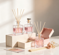Bouteille diffuseur d'arômes vide 100 ml en verre pour diffuseur à bâtonnets, décoration bien-être, avec bâtonnets