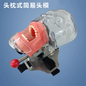 Modelo de cabeza dental para enseñanza, modelo de práctica dental desmontable para equipos de entrenamiento dental - Product Image 3